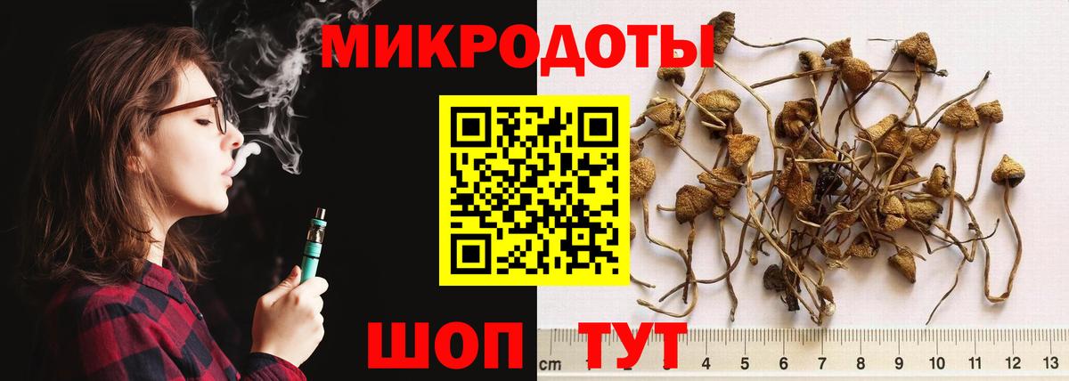 Галлюциногенные грибы мицелий Минеральные Воды